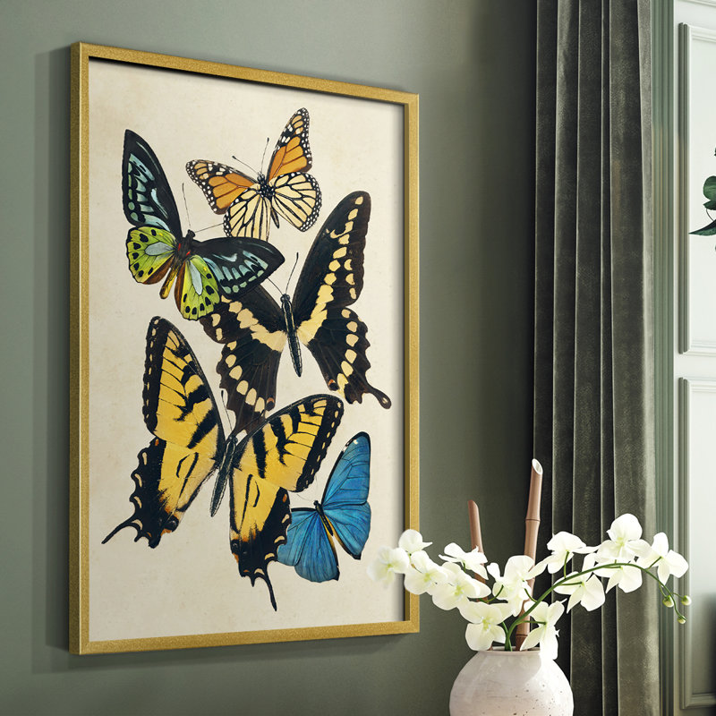 «Collage Butterflies II», reproduction encadrée - bois massif, H 28 po x l 22 po