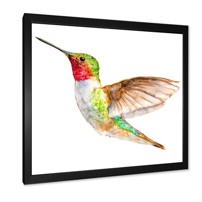 Croquis de colibri - art mural traditionnel sur toile