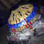 Photos des clients 2 de 2