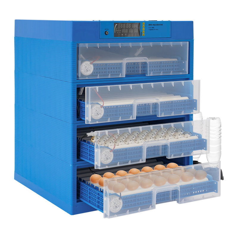 Chicken Egg Incubator For Up To 60+ Eggs