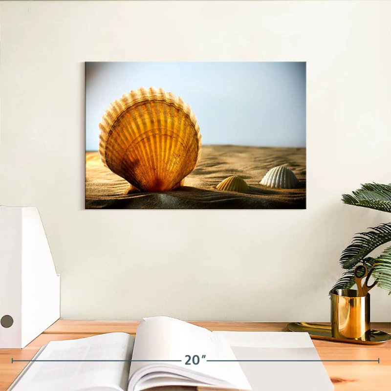 Aletra Sand Seashells, 8" H x 12" W