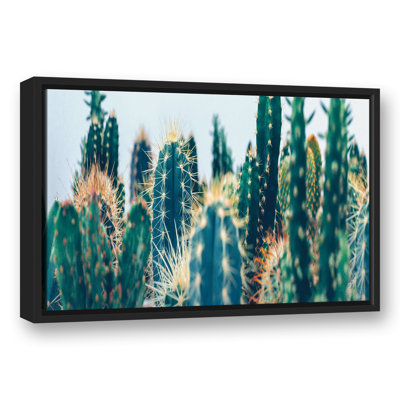 Jardin de cactus