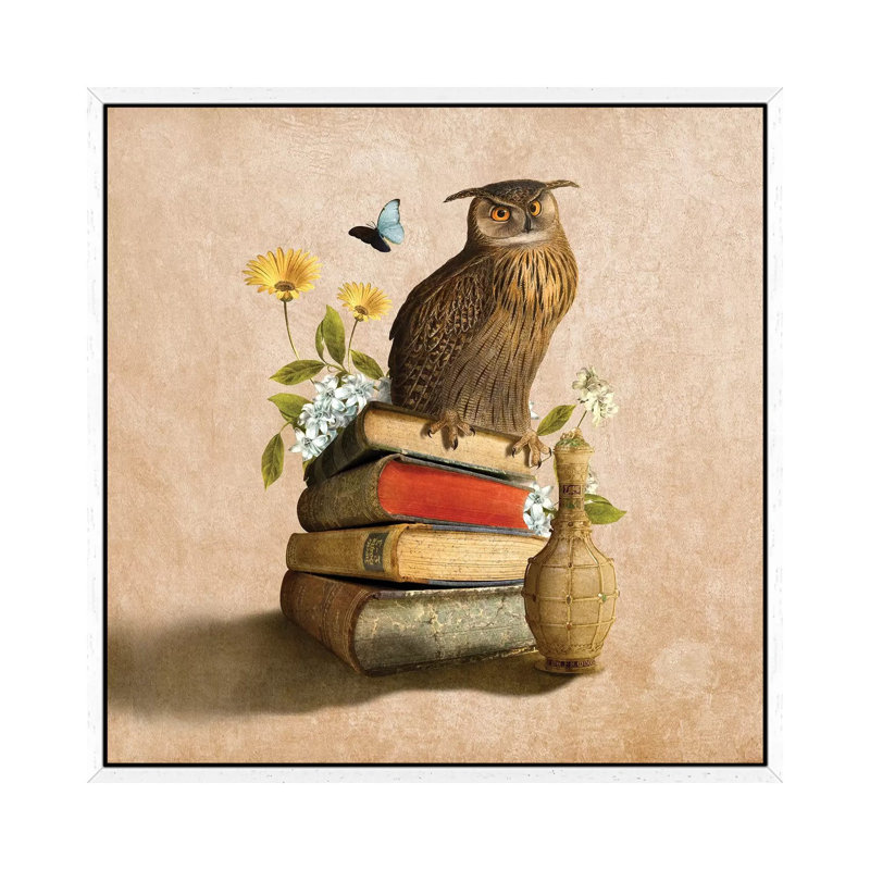 Wise Owl by Diogo Verissimo - Print on Canvas, 45.72 cm H x 45.72 cm W, White Framed