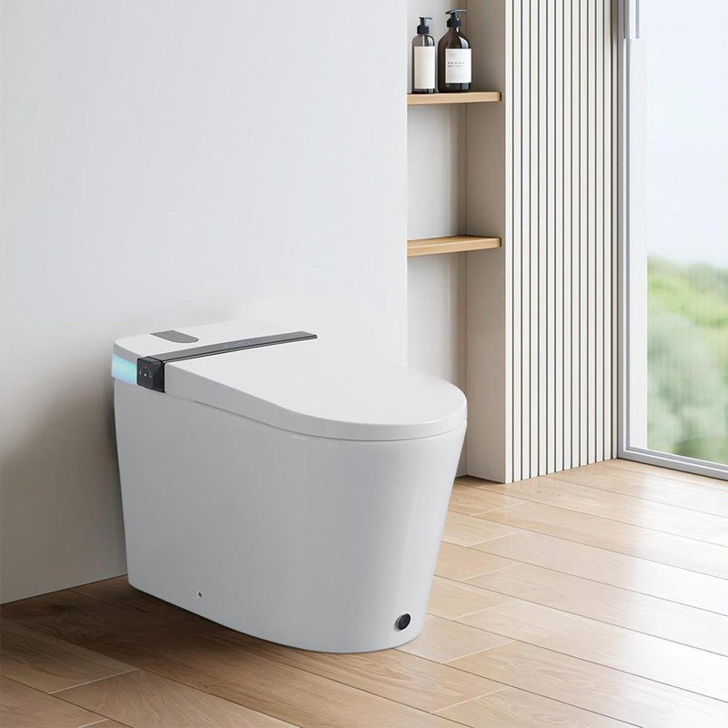 Smart Toilet