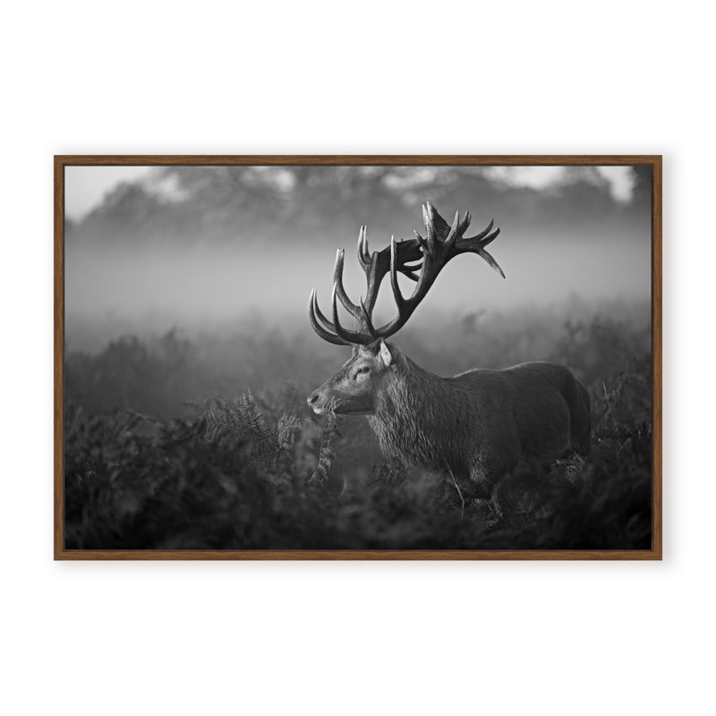 Nature Inspired Sunny Morning by  - Picture Frame Photograph on Paper, 32" H x 48" W x 1.125" D, Framed Matted Print, Black