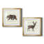 Woodland Bear - ensemble de 2 reproductions d'impressions-1853394665-1853394656-1853394659