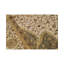 Lamani Wool Oriental Area Rug