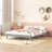 Modern Design Floating Platform Bed Frame-250783128