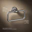 Artifacts Towel Ring-90877942
