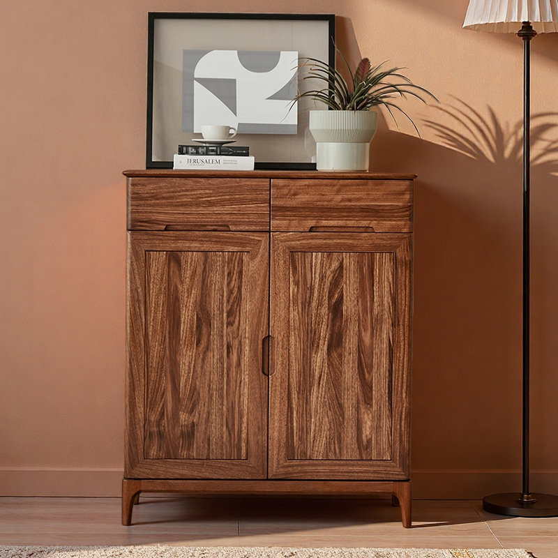 Modern simple storage shoe cabinet