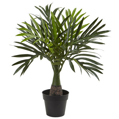  15.5in. Mini Areca Palm Artificial Plant