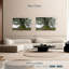 Harnek Mossy Old Trees-107705464