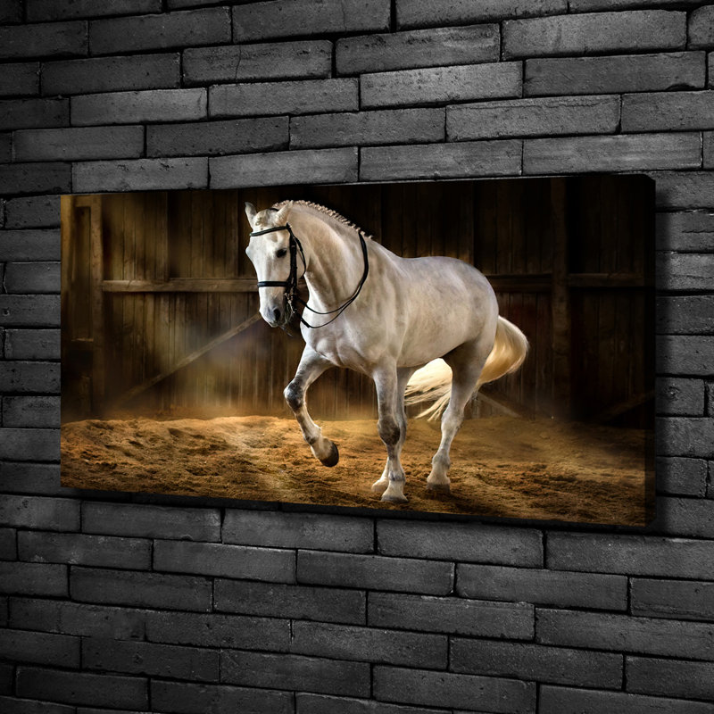 White Horse In The Stable - Wrapped Canvas Print