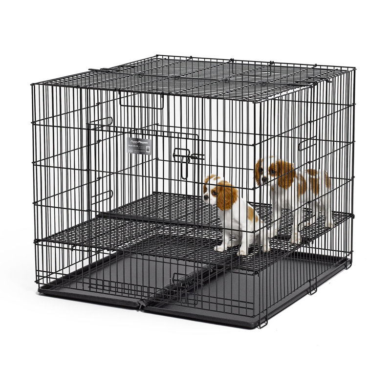 Chenil en plastique pour chiot, Moyen (H 30 po x l 36 po x P 36 po), Plan de disposition 1 po