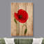 Gros plan sur une fleur de coquelicot rouge sur des panneaux de bois-101469356
