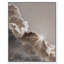 Sun Rays II Print by Oliver Gal-855454833-855454835