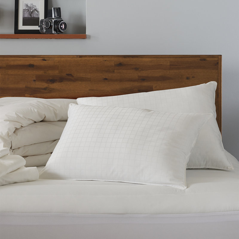 Oreiller en coton Boden, densité ferme, Standard