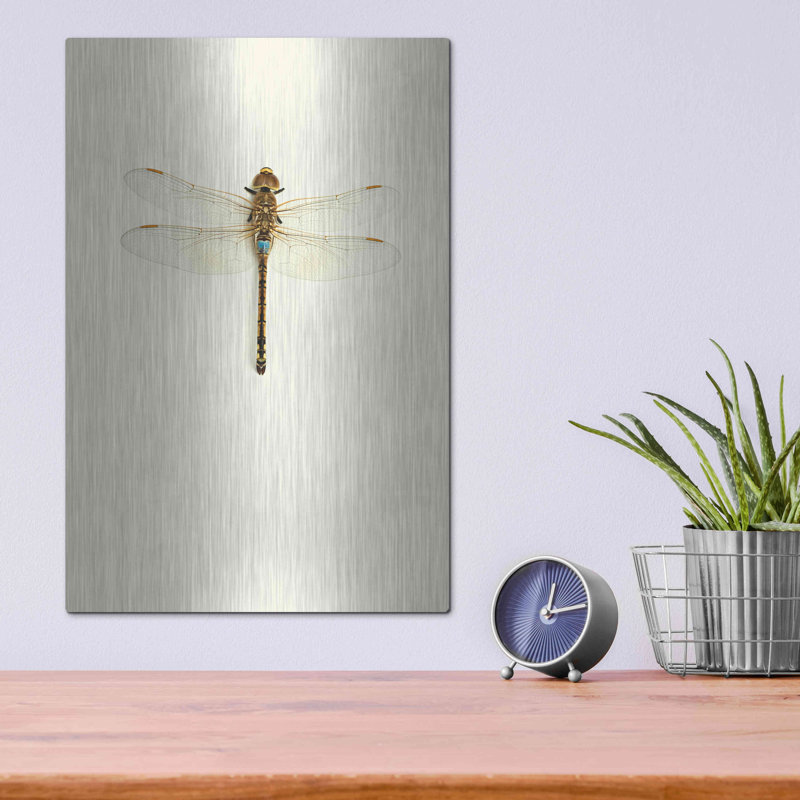 Dragonfly I par Incado - photographie sur métal sans cadre, H 16 po x l 12 po x P 0,13 po