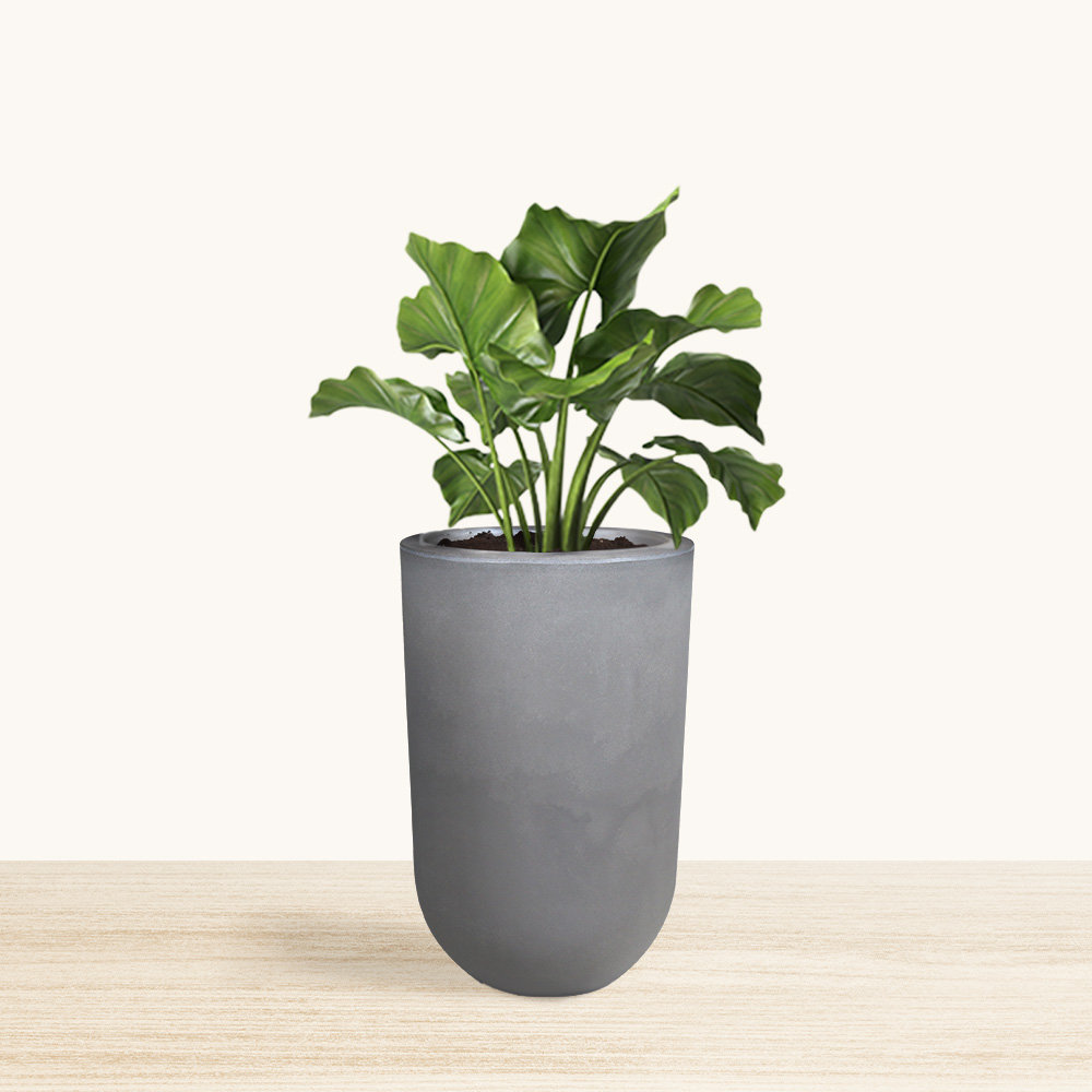 https://assets.wfcdn.com/im/51575363/compr-r85/2552/255281655/petar-ecobo197-inches-eco-friendly-round-pot-planter-decora-indoor-outdoor-use-four-season-use.jpg