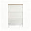 24 Pair Shoe Storage Cabinet