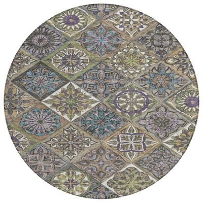 Machine Washable Indoor/Outdoor Layton ACN2256 Panels Rug