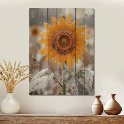 Country Side Sunflowers In A Snowy Barnyard IV - Sunflowers Wood Print - On Natural Pine Wood
