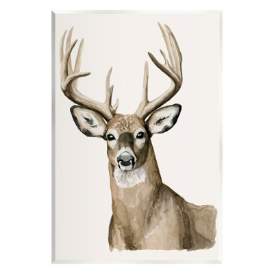 «Stupell Industries Elk Portrait Wildlife» par Grace Popp