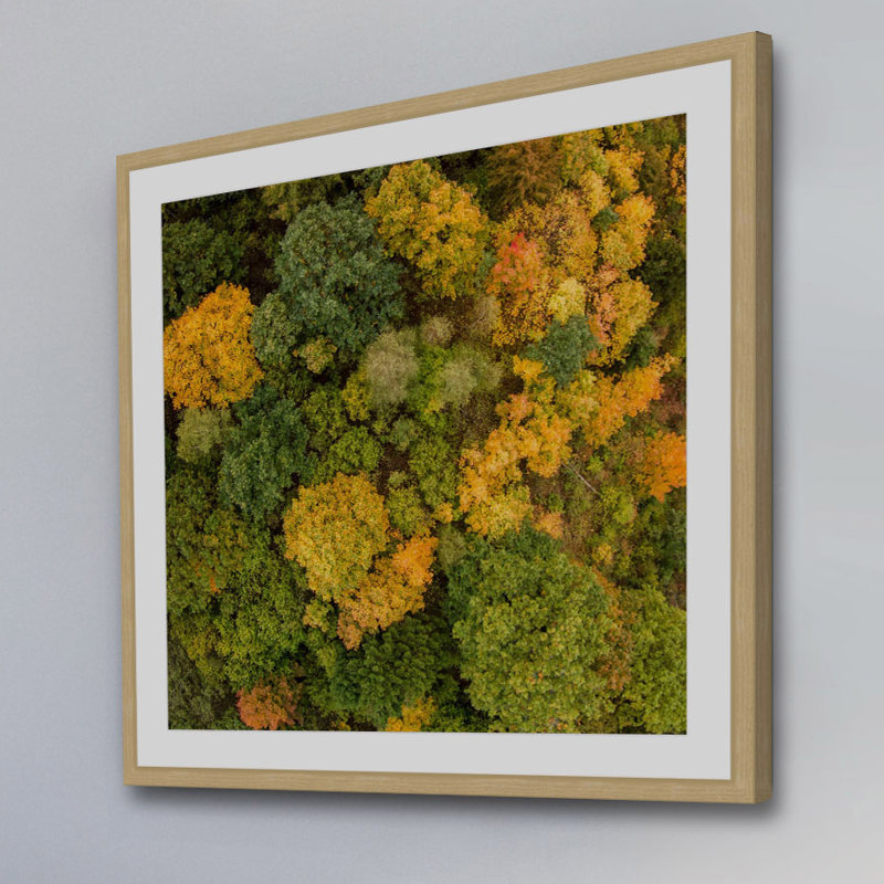 Karolis Janulis - Single Picture Frame Print, 41 cm H x 41 cm W x 3.81 cm D
