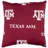 NCAA Square Pillow Cover & Insert-25193423