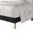 Velvet Upholstered Bed-110451281-110451282