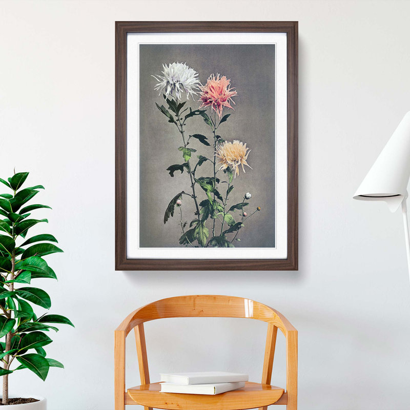 Pretty Chrysanthemums by Ogawa Kazumasa - Picture Frame Painting Print, 48cm H x 36cm W x 2cm D, Walnut Framed