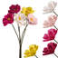 Bouquet de marguerites 15 po MODWOOL