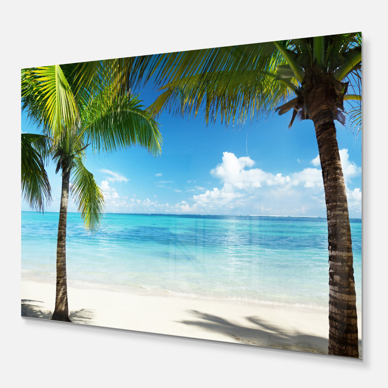 Coastal Palm Trees Sea, photographie sur toile - Palmiers et mer, H 34 po x l 44 po, Métal métal