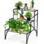 Canady Plant Stand