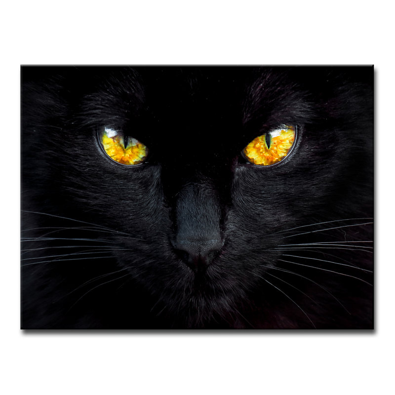 «The Hypnotist of the Night», reproduction de photo sur toile, H 12 po x l 16 po x P 1,5 po