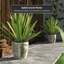 Satsuma Ceramic Planter-1963310352