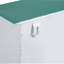 Shemar Steel Wall Mounted Post Box