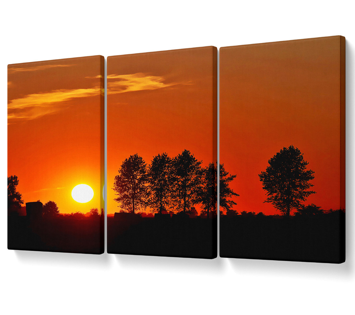 Ebern Designs Orange Tree Horizon - 3 Piece Wrapped Canvas Graphic Art ...