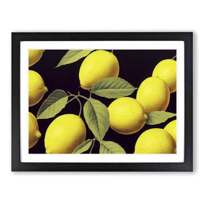Selection Of Lemon Fruit Vol.1 - Single Picture Frame Print