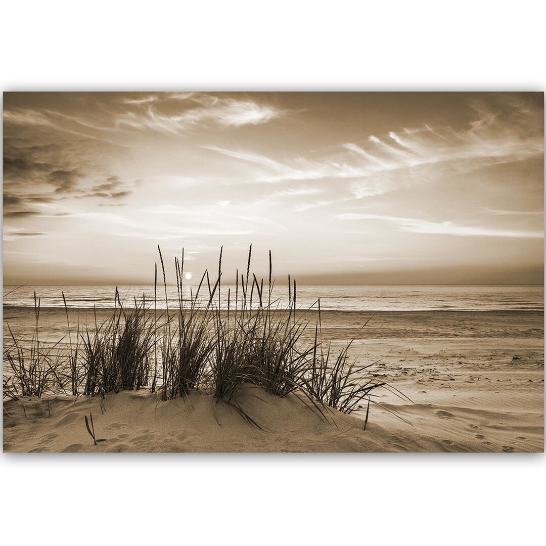 Leinwandbild Gras am Strand 1