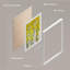 «White Yellow Birch Tree Leaf Spring Autumn Forest» sur papier-98266028-98266029