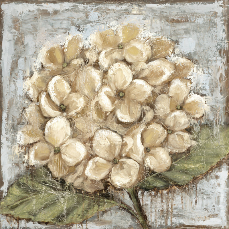 Majestic Hydrangea par Sara G. Designs, H 36 po x l 36 po, Cadre doré simple, Blanc