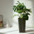 2-Pack Tall Tree Planter-1460680049-1412527688-1412527689