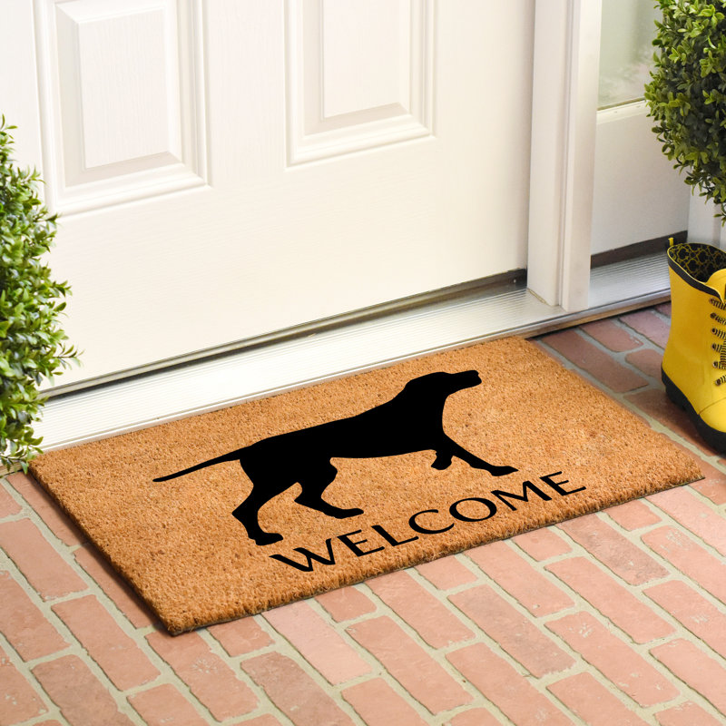Holenice Non-Slip Outdoor Doormat, 0.6" L x 36" W x 24" D