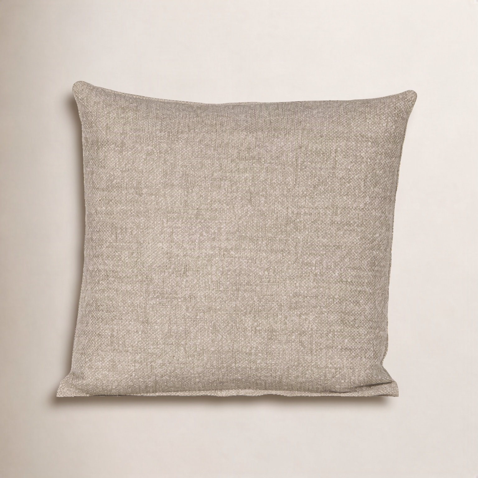 Eevi Solid Throw Pillow, Beige, Square 20", Feather