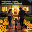 Yellow,Green Solar Powered Pathway Light Kit