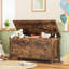 Maurine Blanket Chest-1497304429