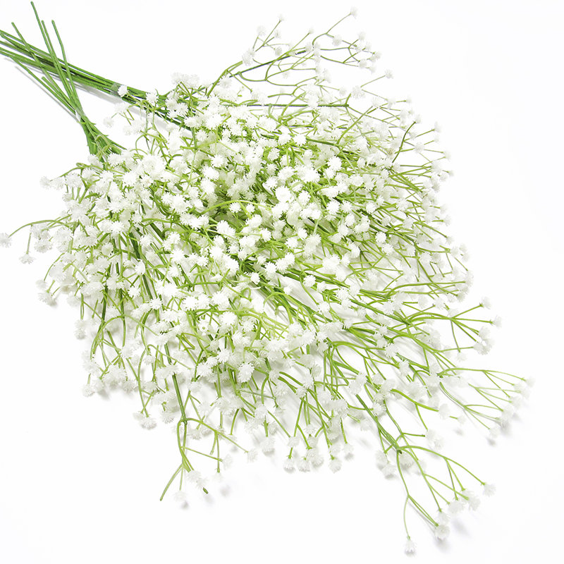 Gipsophila fleur pour bébé