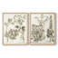 «Sepia Botanical Journal III», reproduction encadrée de qualité supérieure - prête à être accrochée - aucun clou requis - aucun clou requis-843259686-843259685