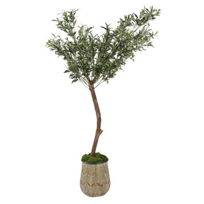 Olive en pot rond en métal